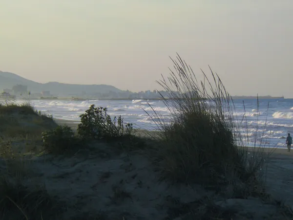 Playa Els Tossals