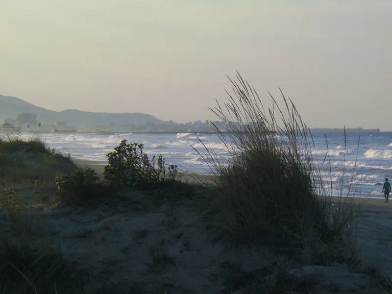Playa Els Tossals