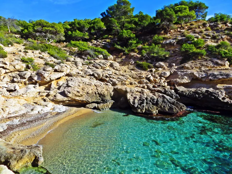 Racó del Conill