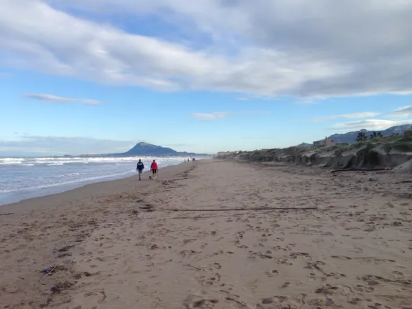 Playa Oliva Nova
