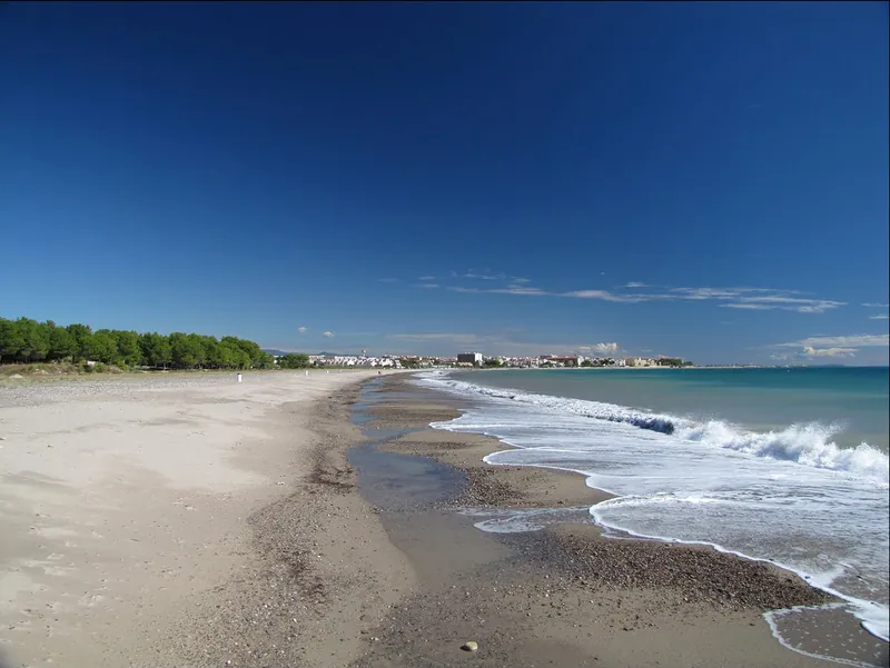 Platja de l'Arenal