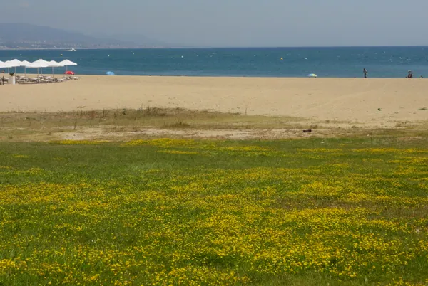 Platja del Fòrum