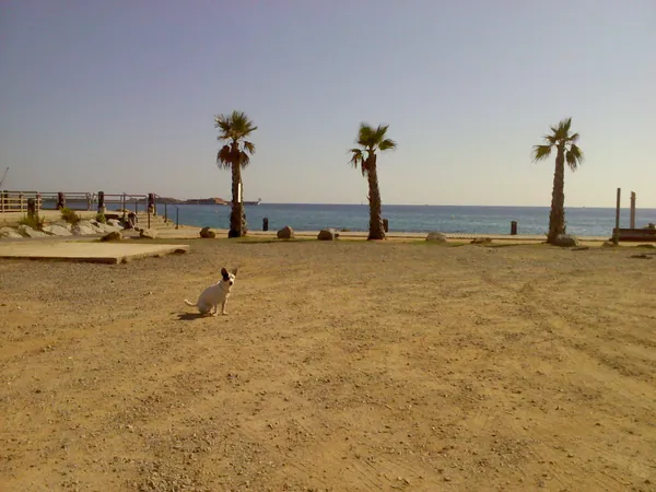 Platja de Sant Antoni