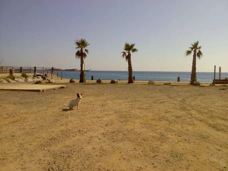 Platja de Sant Antoni
