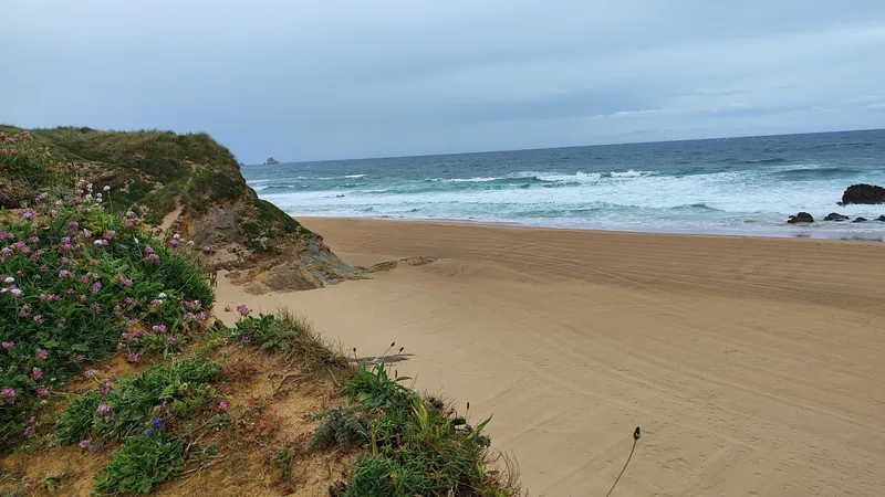 Playa de Canallave