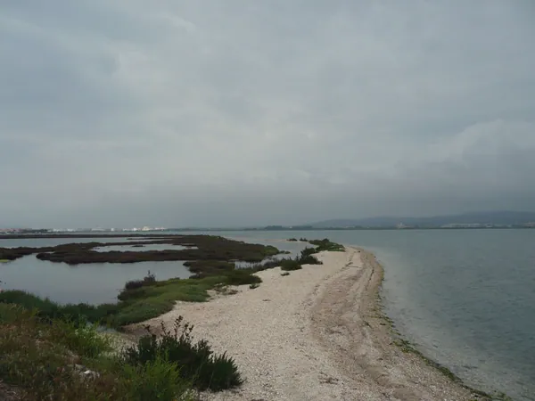 Frontignan plage