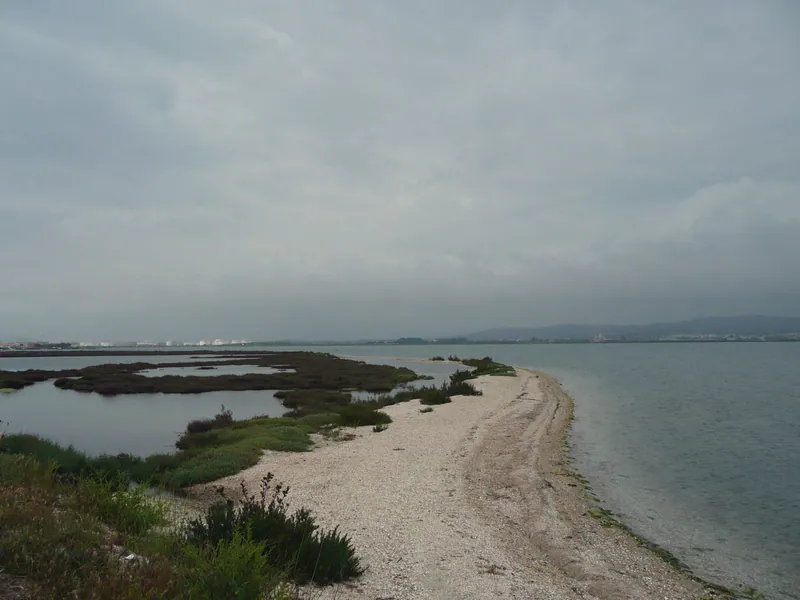 Frontignan plage