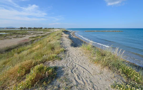 Plage des Aresquiers