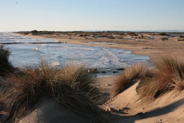 Plage de l'Espiguette