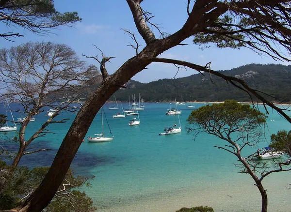 Plage de la Courtade