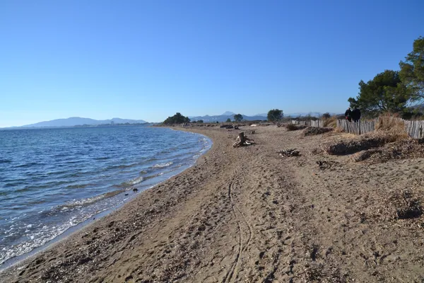 Plage des Vieux Salins