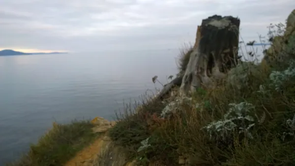 Plage de la Favière