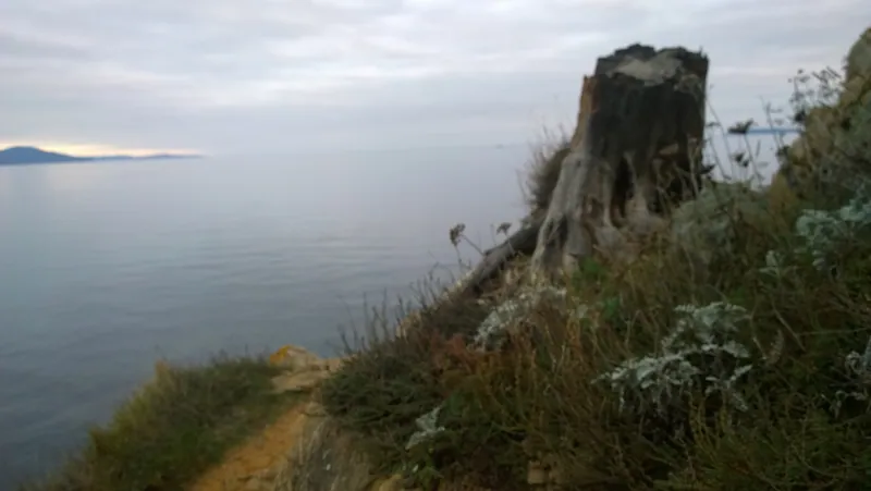 Plage de la Favière