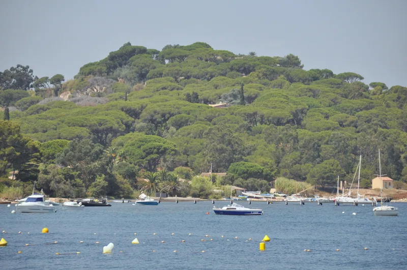 Plage Chemin