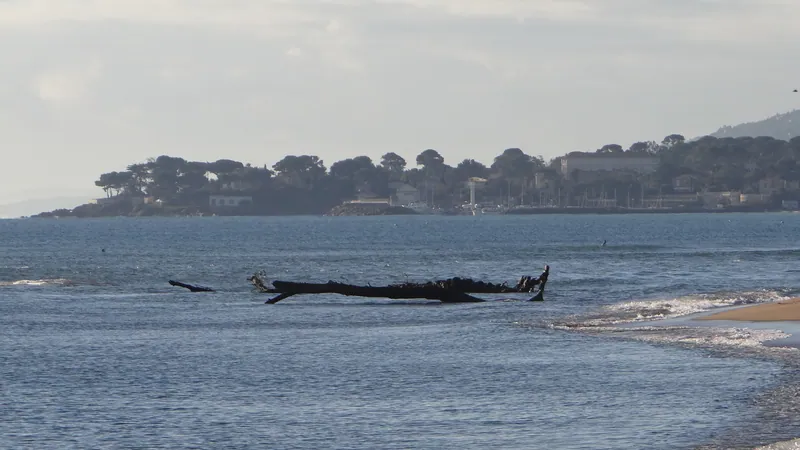 Plage de la Base Nature