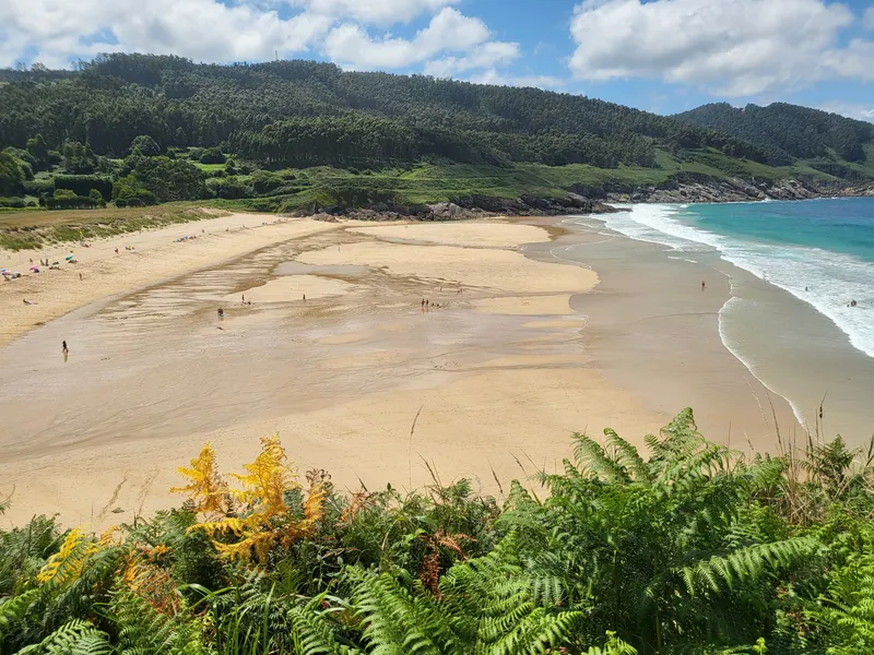 Praia do Esteiro