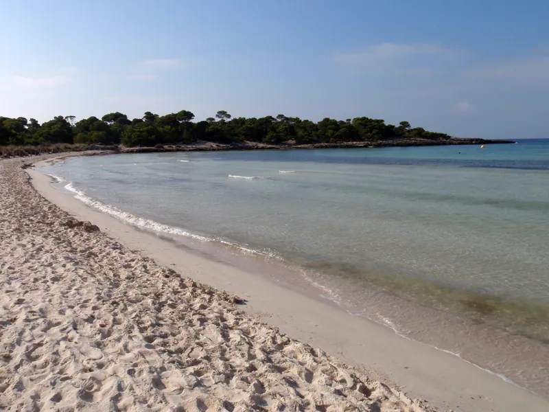 Arenal De Son Saura