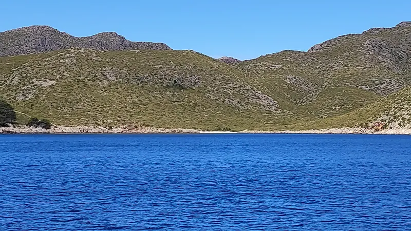 Es Caló