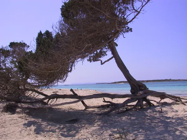 Platja de Ses Roquetes