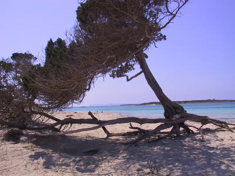 Platja de Ses Roquetes