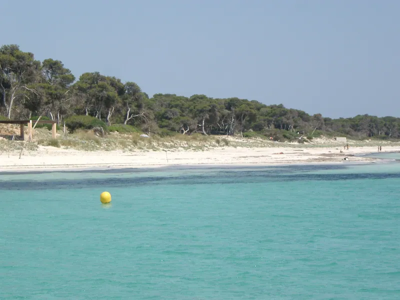 Platja es Carbó
