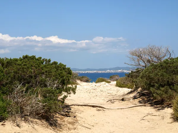 Platja des Cavallet