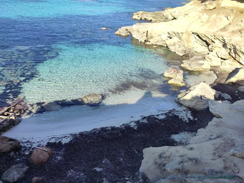 Platja Es Arenals