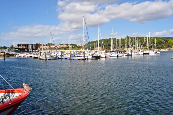 Canelas, Sanxenxo