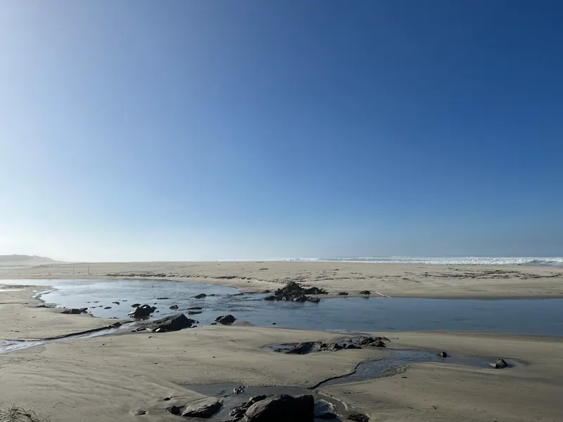 Praia da Arda