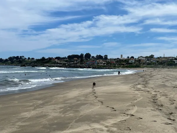 Playa de las Cruces