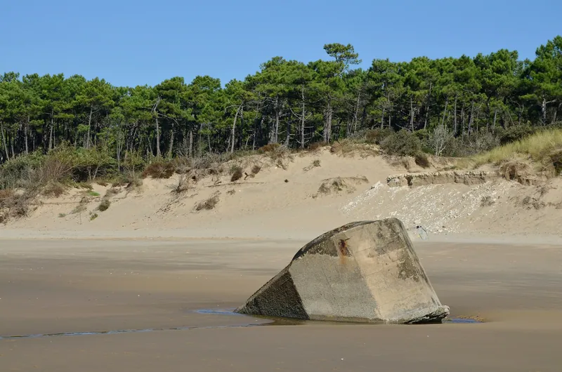 Plage naturiste de la Lède