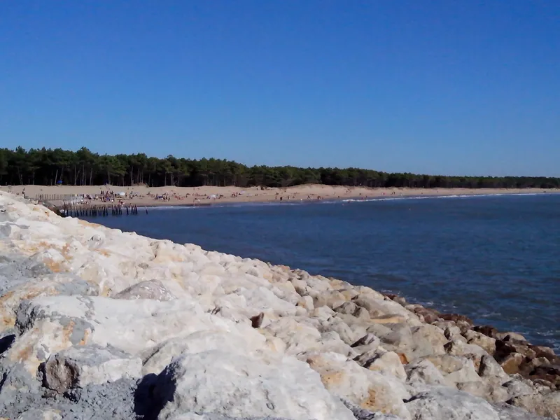 Plage des Pins de Cordouan