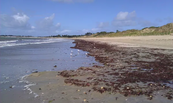Plage d’Ars-en-Ré