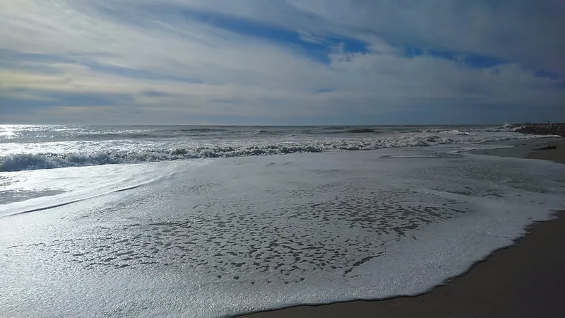 Plage de l'Épine