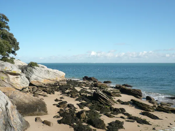 Plage des Dames