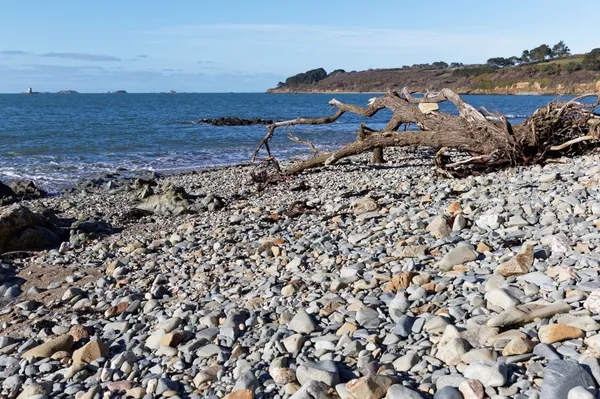 Plage de Térénez