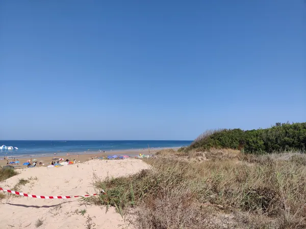Playa Ballena Rota