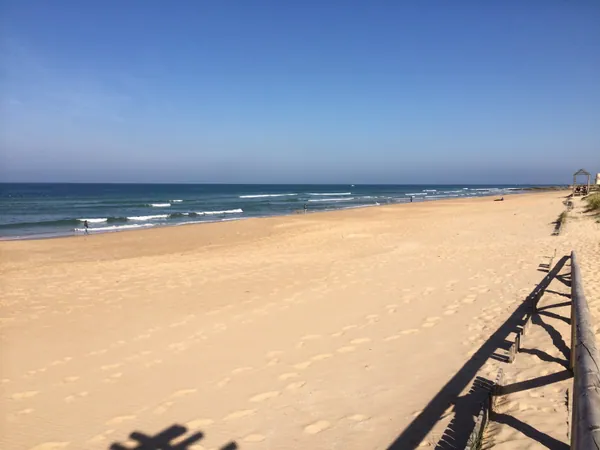 Playa de El Palmar