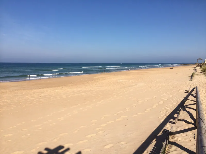 Playa de El Palmar
