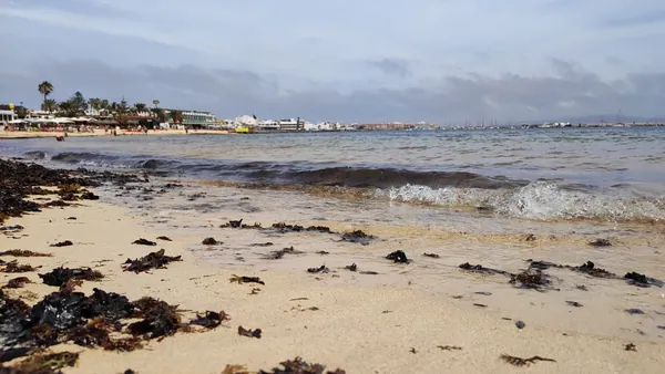 Playa de los Verilitos