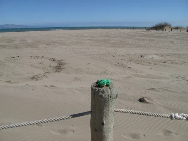 Playa Riumar