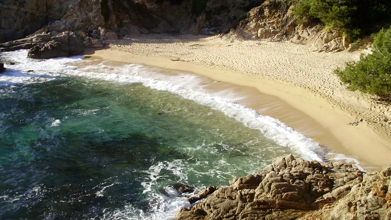 Platja de les Torretes