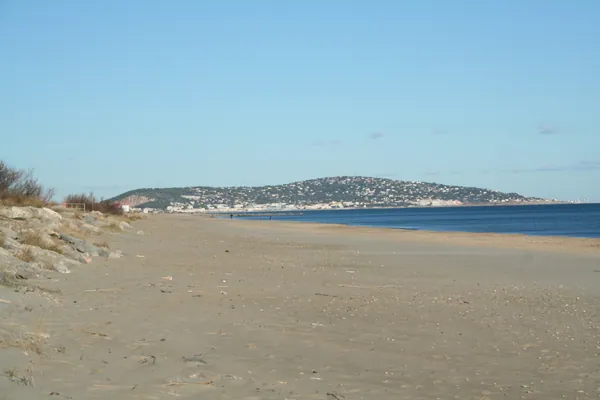 Plage Baleine