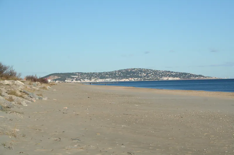 Plage Baleine