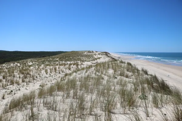 Plage Hourtin