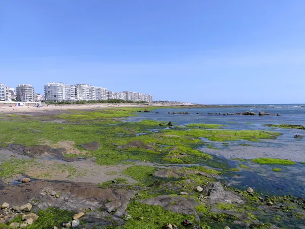 La Grande Plage des Sables d'Olonne