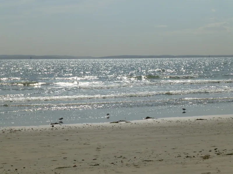 West Wittering Beach
