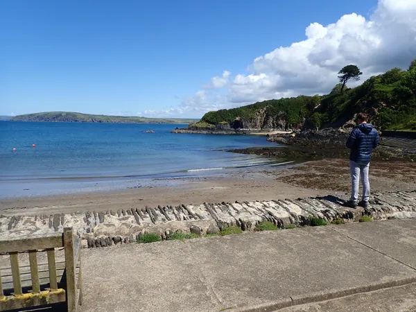 Ynys Dinas