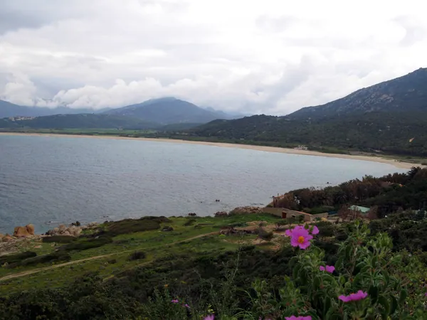 Plage de Campomoro