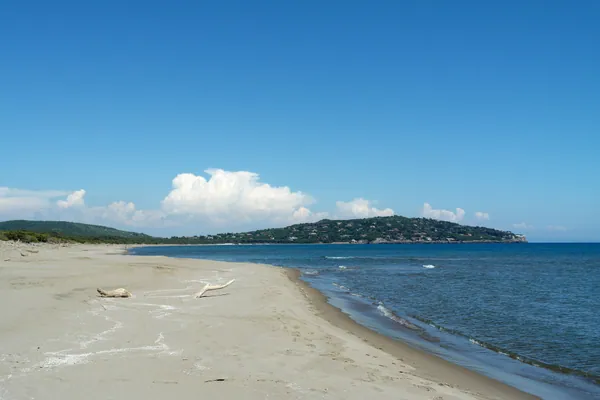 Feniglia